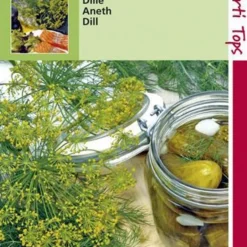 Hortitops Zaden - Dille