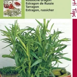 Hortitops Zaden - Dragon