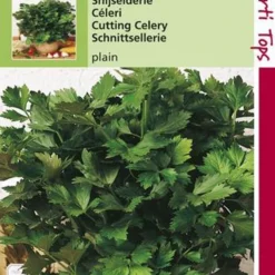 Hortitops Zaden - Selderij