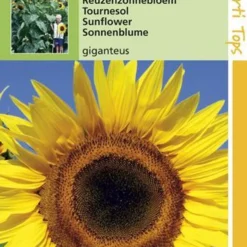 Hortitops Zonnebloemzaden - Helianthus Annuus Uniflorus Giganteus