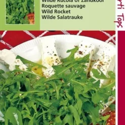 Hortitops Zaden - Rucola Wilde Selvatica (Diplotaxis Erucoides)