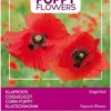 Buzzy® Poppies Of The World - Klaproos Rhoeas Rood