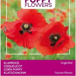 Buzzy® Poppies Of The World - Klaproos Rhoeas Rood