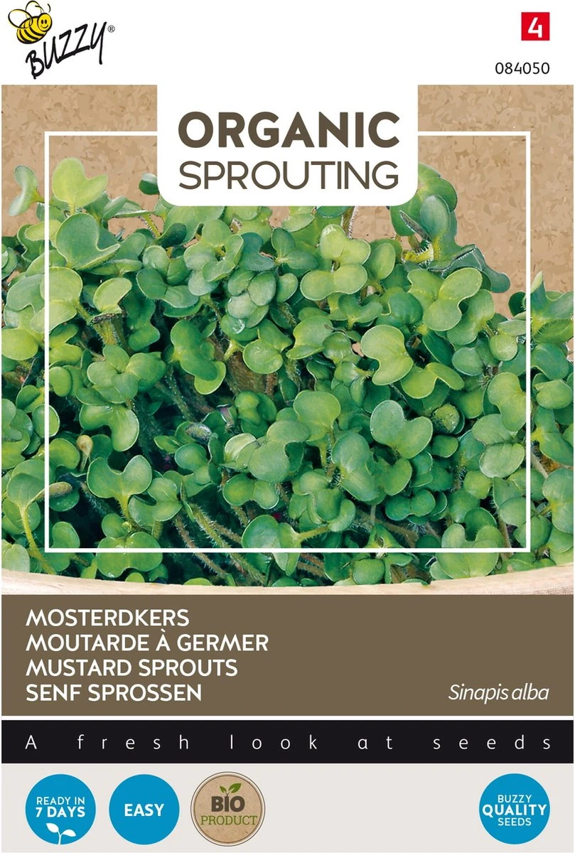 Buzzy® Organic SproutingMosterdkers (BIO) 2 Buzzy® Organic SproutingMosterdkers (BIO) - Afbeelding 2