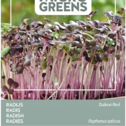 Buzzy® Microgreens, Radijs Rode Daikon