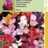 Hortitops Zaden - Lathyrus Odoratus Bijou Gemengd