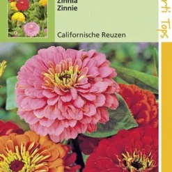 Hortitops Zaden - Zinnia Californische Reuzen Gemengd