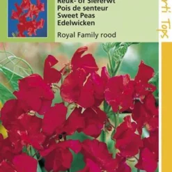 Hortitops Zaden - Lathyrus Odor. Royal Family Rood