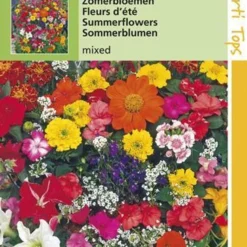 Hortitops Zaden - Zomerbloemen Gemengd -Exporteren Buiten Groen Winkel 811x1200 8