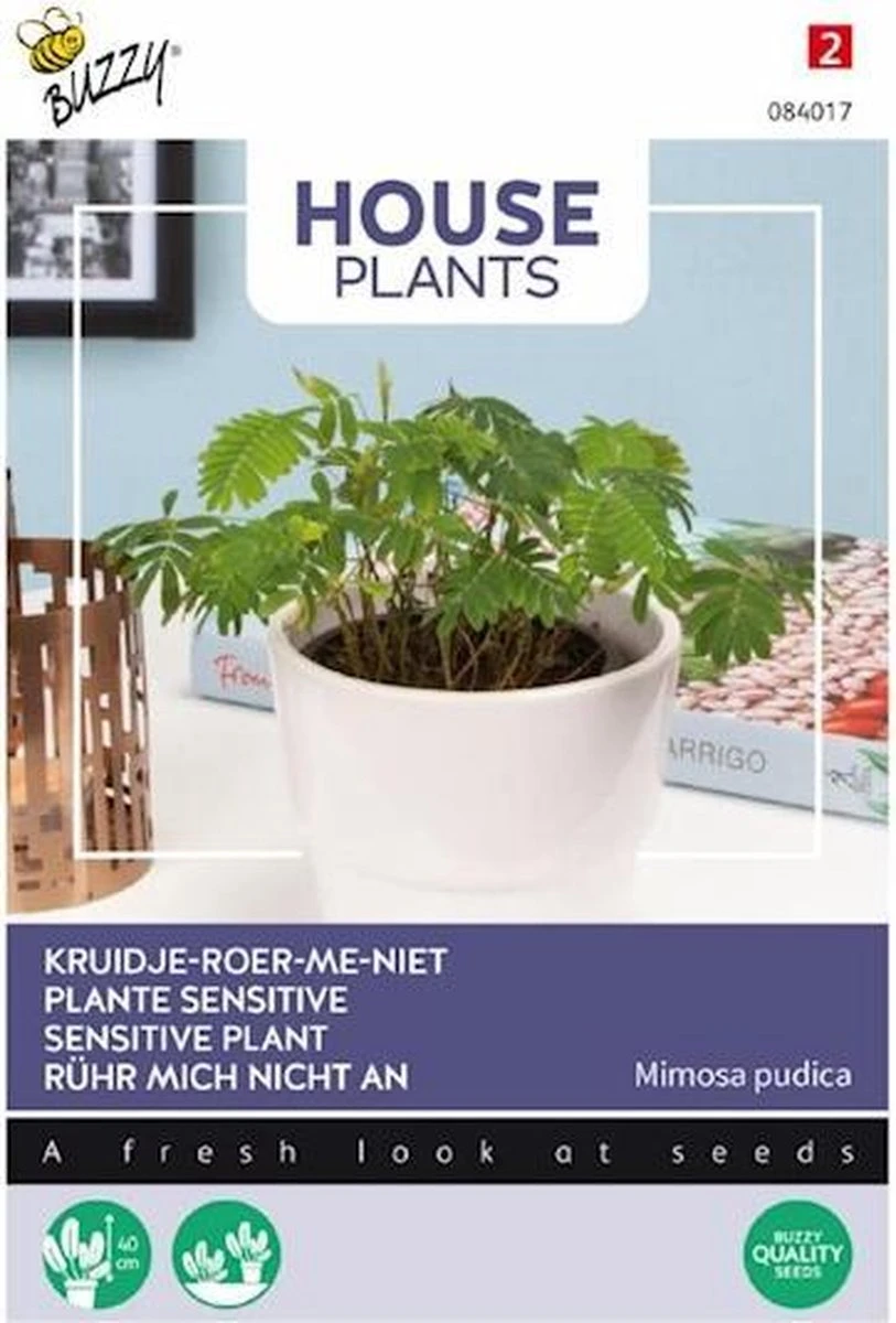 Buzzy® House Plants Mimosa Pudica, Kruidje Roer Me Niet 1 Buzzy® House Plants Mimosa Pudica, Kruidje Roer Me Niet