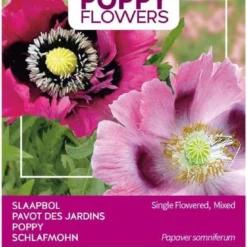 Buzzy® Poppies Of The World - Papaver Slaapbol