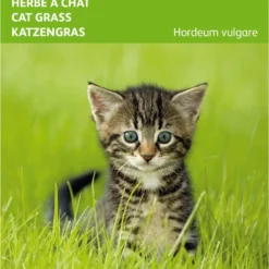Buzzy Zaden - Kattengras Gerst - 10 Gram 6 Buzzy Zaden - Kattengras Gerst - 10 Gram -Exporteren Buiten Groen Winkel 815x1200 4