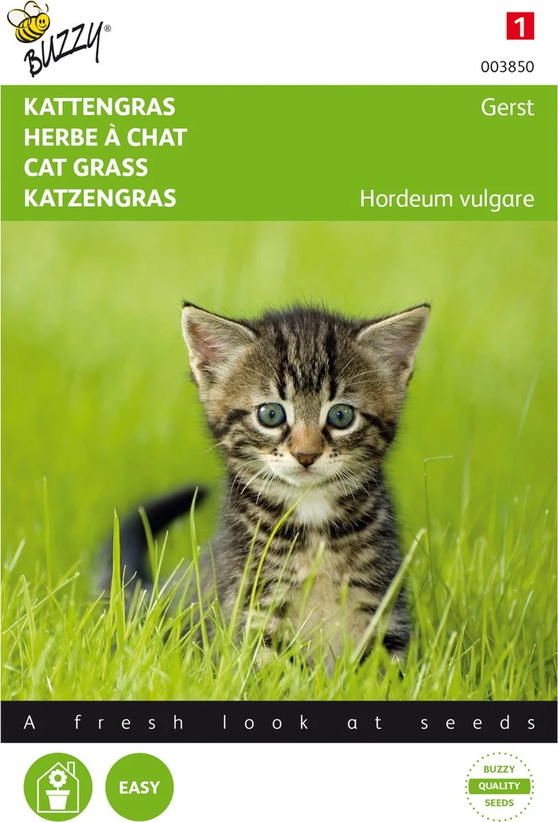 Buzzy Zaden - Kattengras Gerst - 10 Gram 3 Buzzy Zaden - Kattengras Gerst - 10 Gram - Afbeelding 3