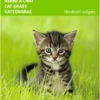 5 Stuks Kattengras Gerst