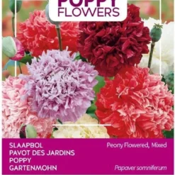 Buzzy® Poppies Of The World - Papaver Pioenbloemig