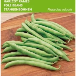 Hoge Sperzieboon/ Stokslaboon Westlandse Dubbele Tros 25 Gram