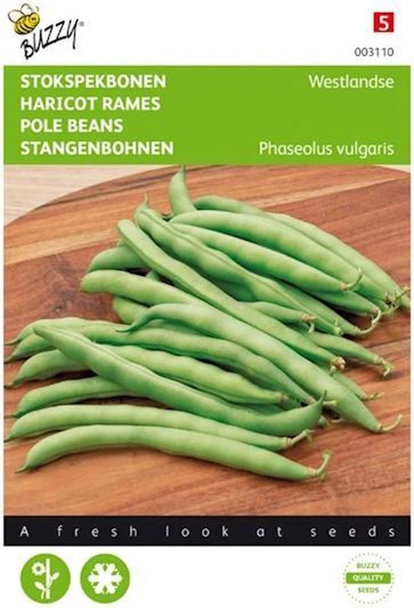 Hoge Sperzieboon/ Stokslaboon Westlandse Dubbele Tros 25 Gram 1 Hoge Sperzieboon/ Stokslaboon Westlandse Dubbele Tros 25 Gram