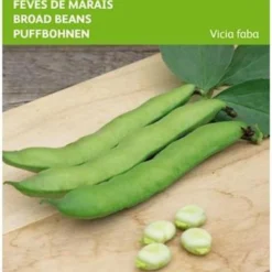 Buzzy® Tuinbonen Witkiem