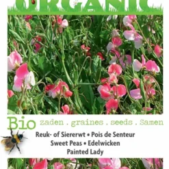 Buzzy® Organic Lathyrus, Reuk- Of Siererwt Painted Lady(BIO) -Exporteren Buiten Groen Winkel 818x1200 2