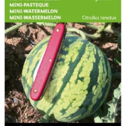 TA Buzzy - Mini Watermeloen Tigrimini F1 6 Zaden