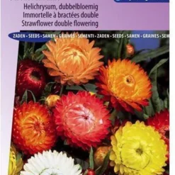 Sluis Garden - Strobloem Dubbelbloemig Gemengd