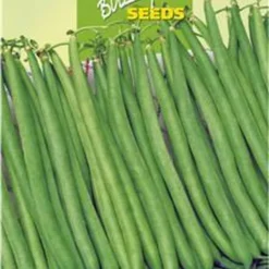 Merkloos Lage Sperzieboon/ Stamslabonen Sonate 25 Gram -Exporteren Buiten Groen Winkel 828x1200