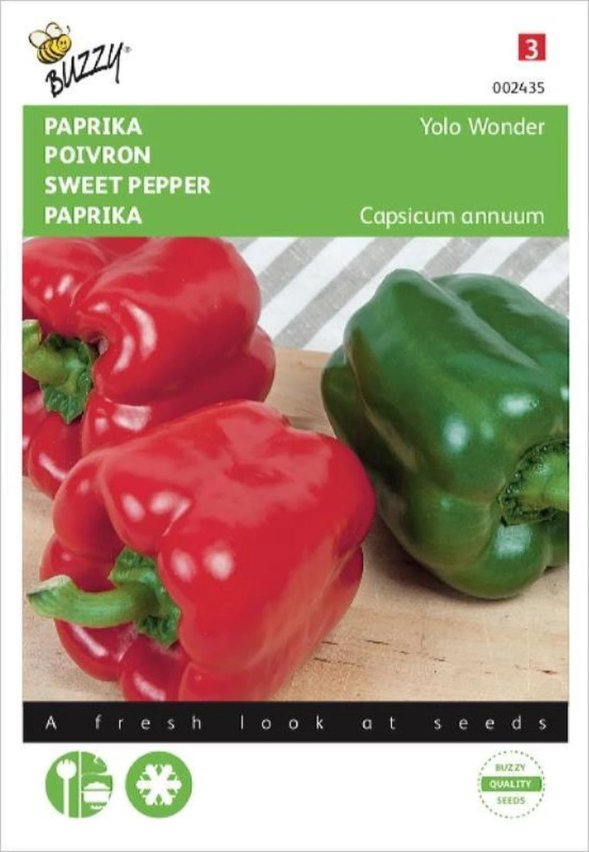 Buzzy Zaden Paprika Yolo Wonder 1 Buzzy Zaden Paprika Yolo Wonder