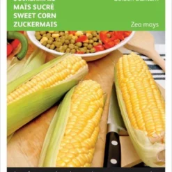 Buzzy® Suiker Mais Golden Bantam