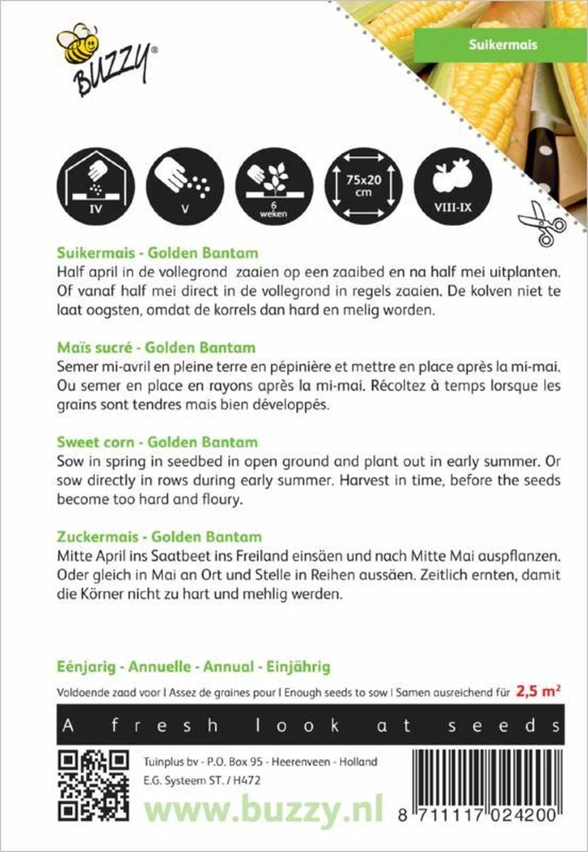 Buzzy® Suiker Mais Golden Bantam 2 Buzzy® Suiker Mais Golden Bantam - Afbeelding 2