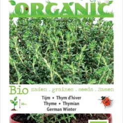 Buzzy® Organic - Tijm (BIO)