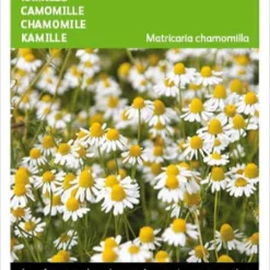 Buzzy Zaden - Kamille - Matricaria Chamomilla