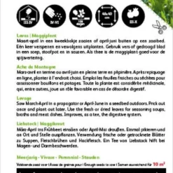 Buzzy® Lavas (Maggiplant) -Exporteren Buiten Groen Winkel 829x1200 35