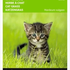 Buzzy Zaden - Kattengras Gerst - 10 Gram