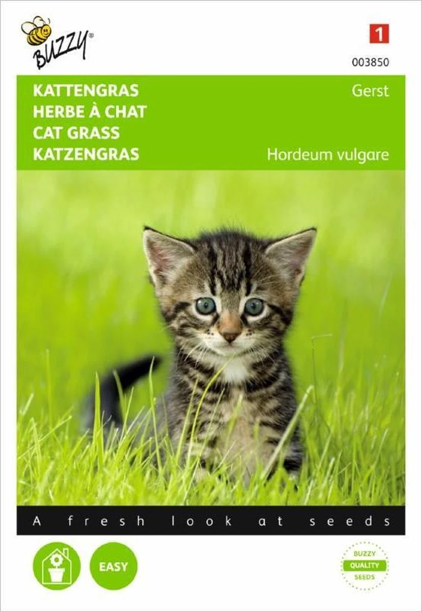 Buzzy Zaden - Kattengras Gerst - 10 Gram 1 Buzzy Zaden - Kattengras Gerst - 10 Gram