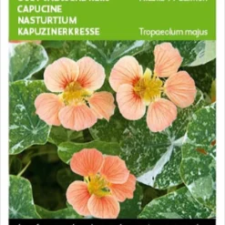 Buzzy® Oost-Indische Kers - Alaska Salmon -Exporteren Buiten Groen Winkel 829x1200 45