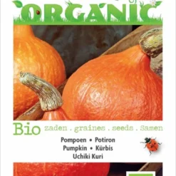 Buzzy® Organic Pompoen Uchiki Kuri (BIO)