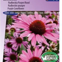 Sluis Garden - Zonnehoed Purpurea (Echinacea)