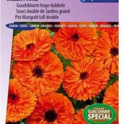 Sluis Garden - Goudsbloem Indian Prince, Dubbelbloemig