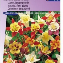 Sluis Garden - Akelei Mckana Giant Hybrids