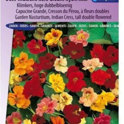 Sluis Garden - Oost-Indische Kers Gl. Hybr. Mix, Hoge Dubbelbloemig