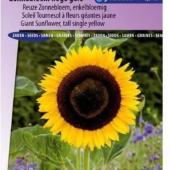 Sluis Garden - Zonnebloem Hoge Gele