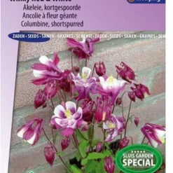 Sluis Garden - Akelei Winky Red & White