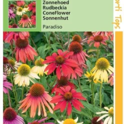 Hortitops Zaden - Echinacea, Zonnehoed Paradiso