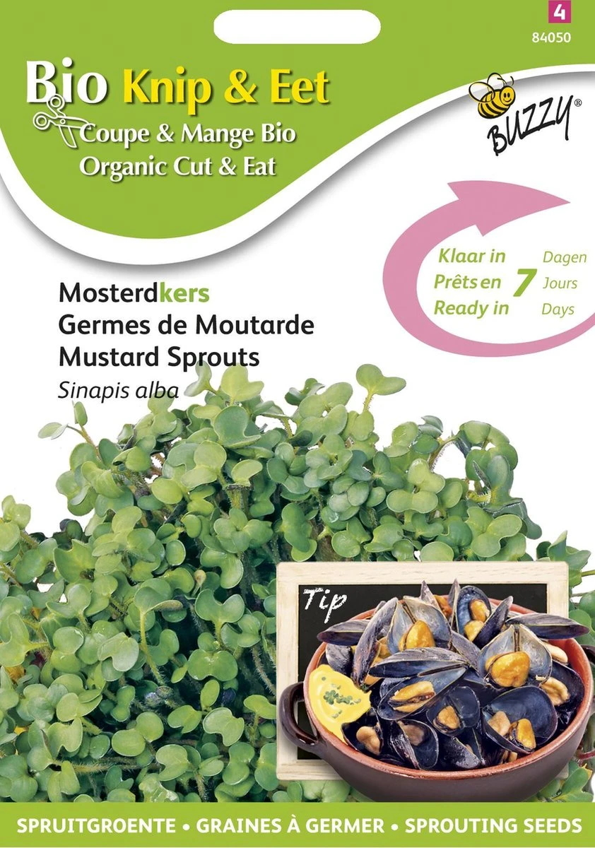 Buzzy® Organic SproutingMosterdkers (BIO) 3 Buzzy® Organic SproutingMosterdkers (BIO) - Afbeelding 3