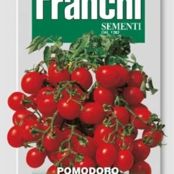 Franchi - Tomaat, Pomodoro Red Cherry 106/111