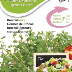 Buzzy® Organic Sprouting Broccolikers (BIO) -Exporteren Buiten Groen Winkel 842x1200 7