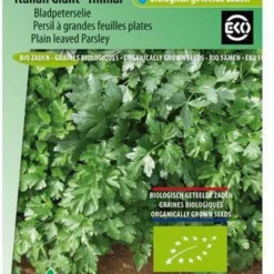 Sluis Garden - Peterselie Italian Giant Hilmar