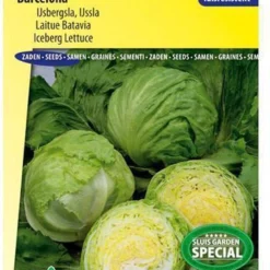 Sluis Garden - IJsbergsla Barcelona