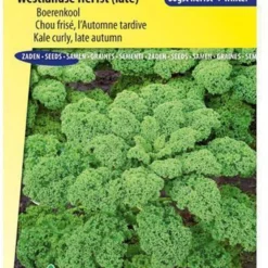 Sluis Garden - Boerenkool Westlandse Herfst (late Varieteit)