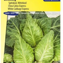 Sluis Garden - Spitskool Eersteling